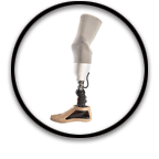 Lower Extremity Prosthetics